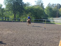 img_0180_web
